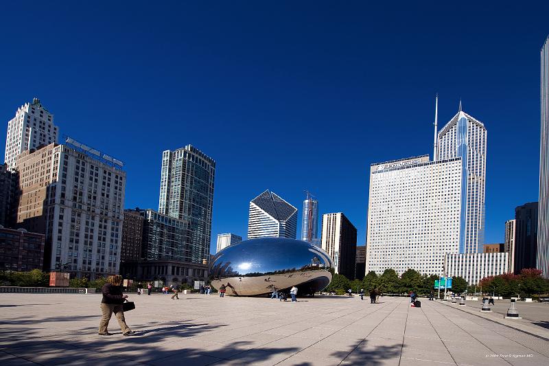 20081030_125230 D3 2x3 P1 srgb.jpg - The Cloud with skyscrapers behind